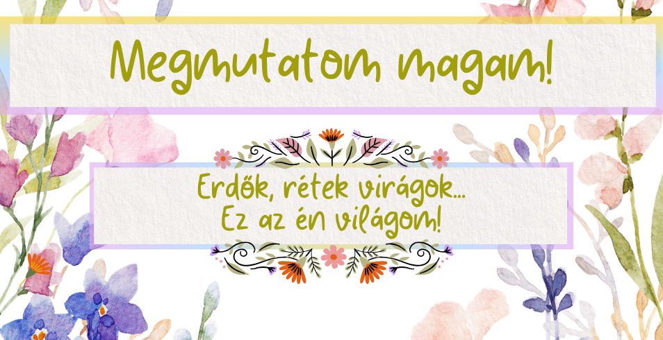 Megmutatom magam! - Bemutatkoznak a Zalaegerszegi Liszt F. �lt. Iskola tanul�i
