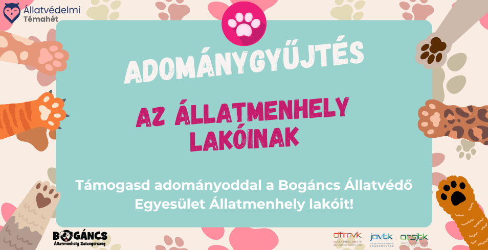 Adomnygyjts az llatmenhely lakinak 2024.