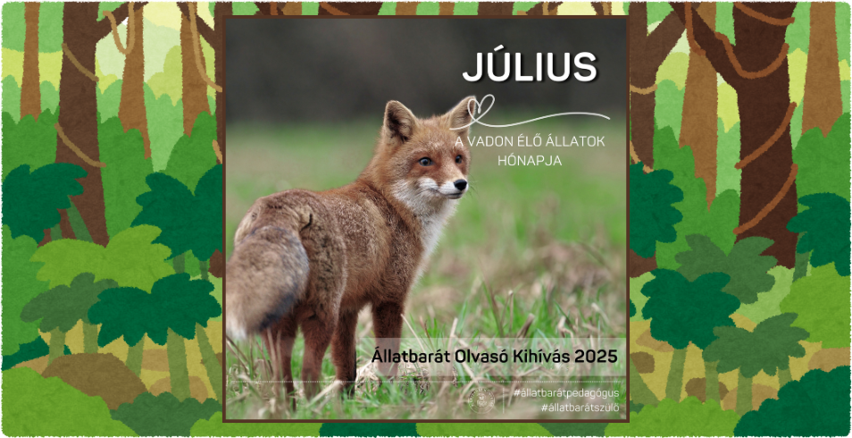 llatbart Olvas Kihvs - Vadon l llatok hnapja