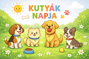 Kuty�k napja program (2016. 01. 23.)